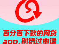 贷款类平台推广实战指南：精准获客与高效转化策略(支付宝花呗逾期一天会怎样？这些细节千万要注意！)